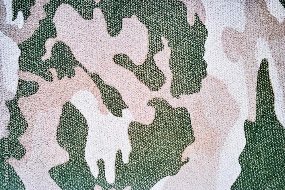 Fototapeta premium Detailed Camouflage Pattern in Green and Beige Shades