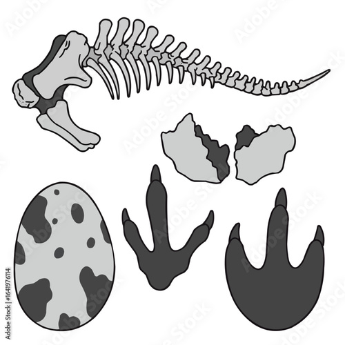 Illustration of a dinosaur skeleton, egg, footprints, and fossil fragments on a white background scene on transparent background
