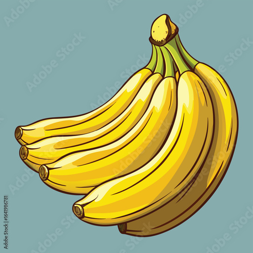 Vector illustration of a bunch of fresh, ripe bananas on a white background