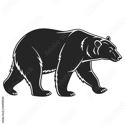 vector illustration of a bear