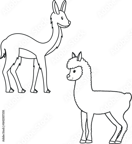 Alpaca and vicugna outline illustration. Set of lama vector isolated on white. Coloring pages elements.