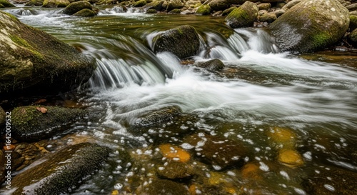 Tranquil stream flowing over mossy rocks in serene forest setting