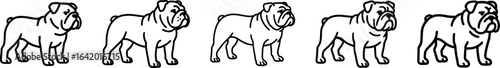 Bulldog dog full body side view outline vector