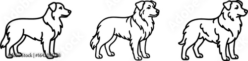 Australian shepherd dog standing side view outline vector