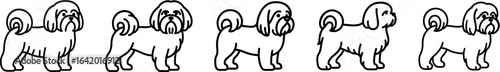 Shih tzu dog full body standing side view outline vector