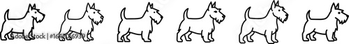 Scottish terrier dog full body standing side view outline vector