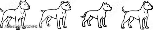American staffordshire terrier dog full body side view outline ve