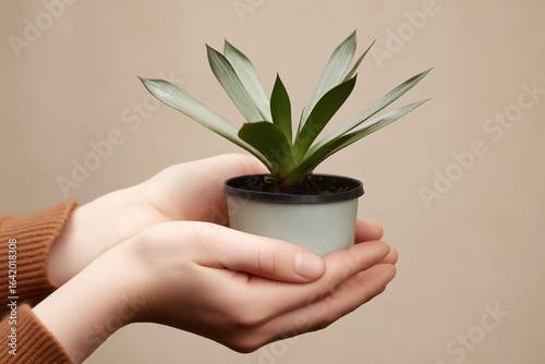 Holding out, Gifting a Plant 