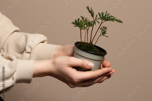 Holding out, Gifting a Plant 
