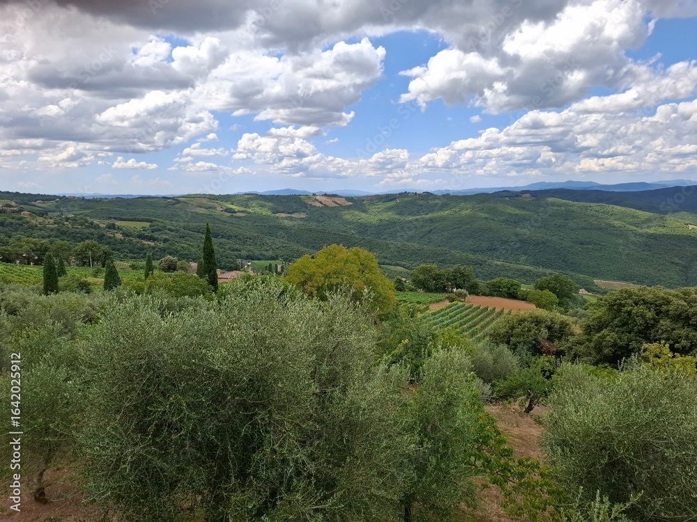 Obraz premium mountain landscape with trees in tuscany, italy