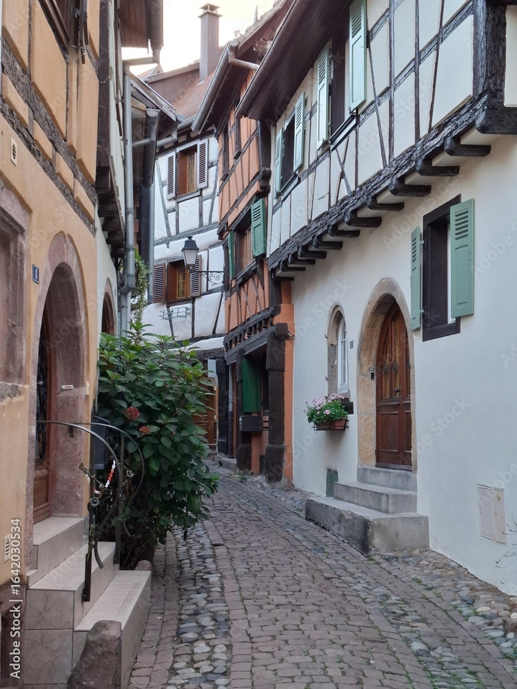 Obraz premium narrow street in the old town of Riquewihr, Alsace, France