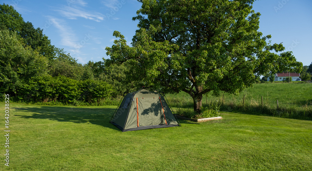 Fototapeta premium Tent pitched under tree on summer field.