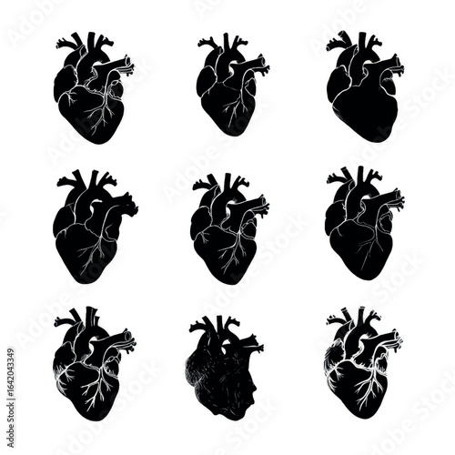 anatomical heart silhouette set, Black & White silhouette set