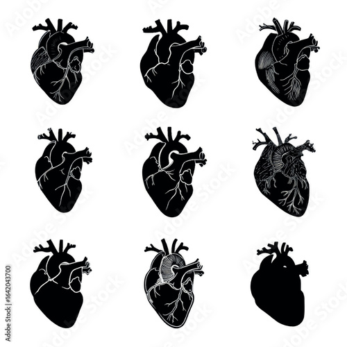 anatomical heart silhouette set, Black & White silhouette set