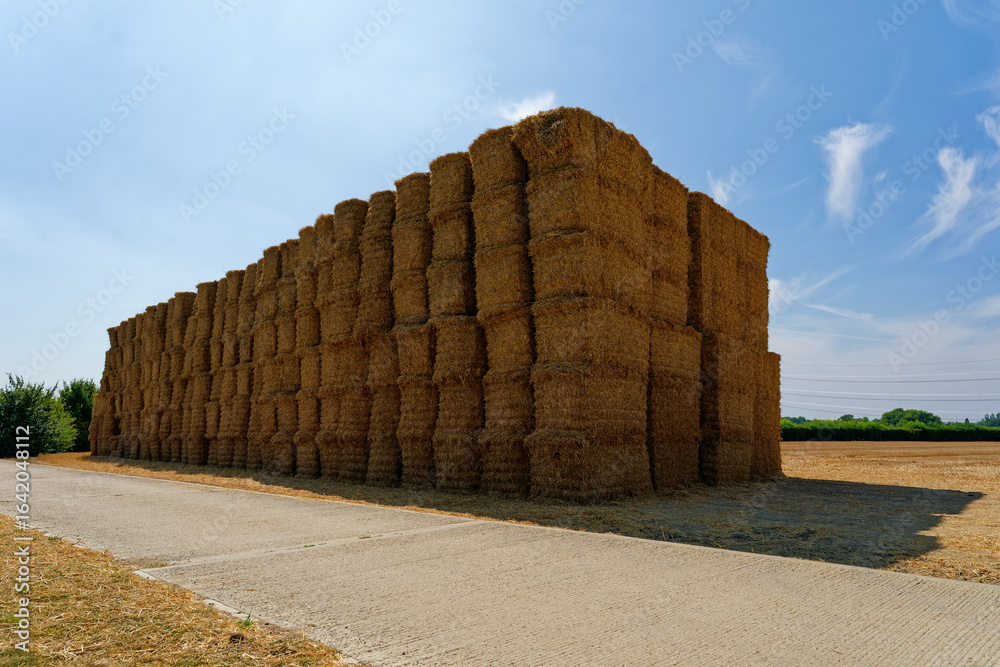 Obraz premium Large stack of hay bales