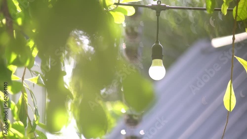Outdoor Light Bulb Hanging in Greenery