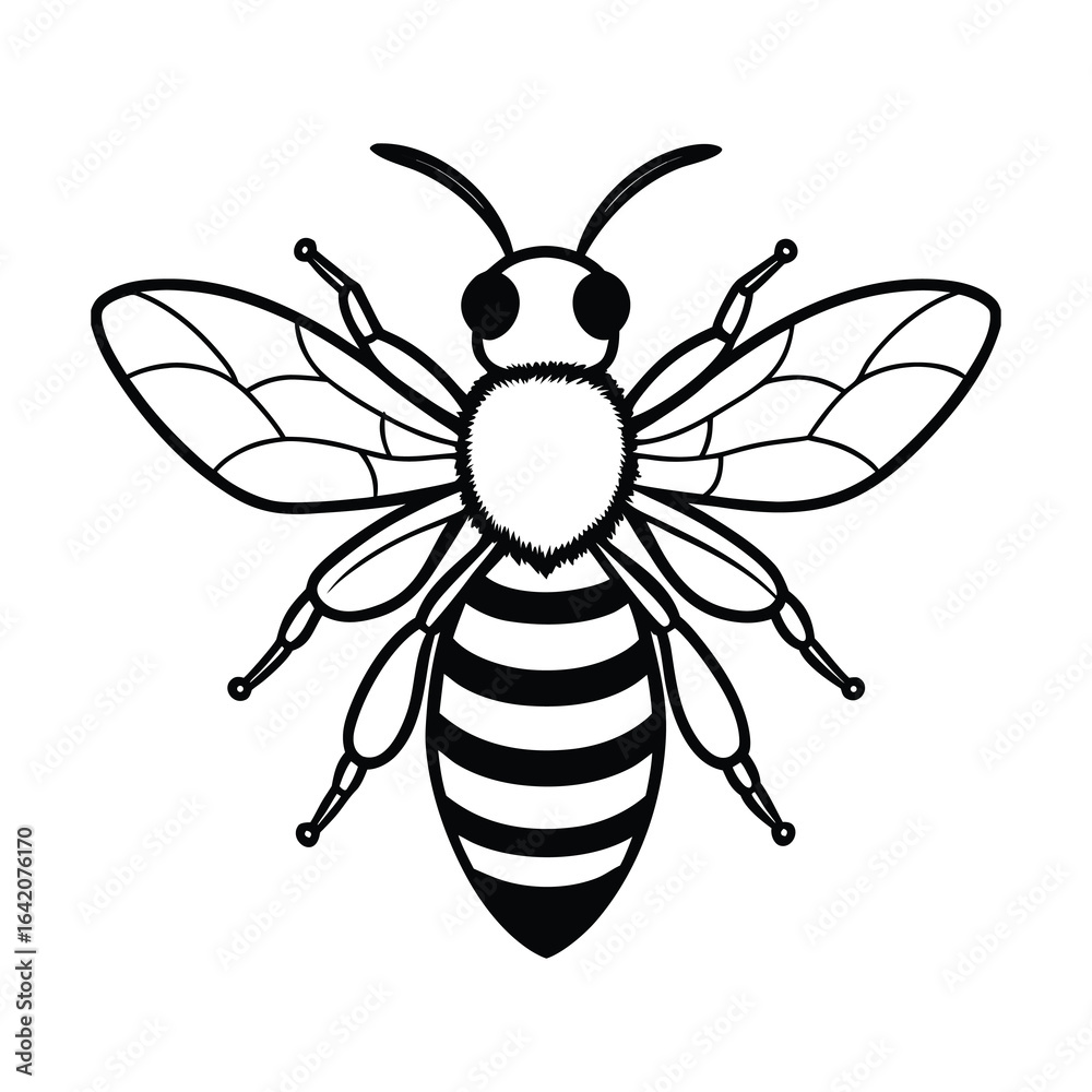 Fototapeta premium buzzing bee vector art on white background