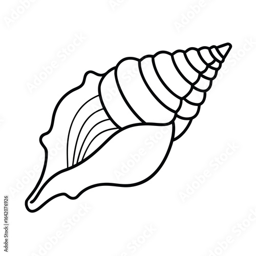 conch shell outline vector graphic on white background 