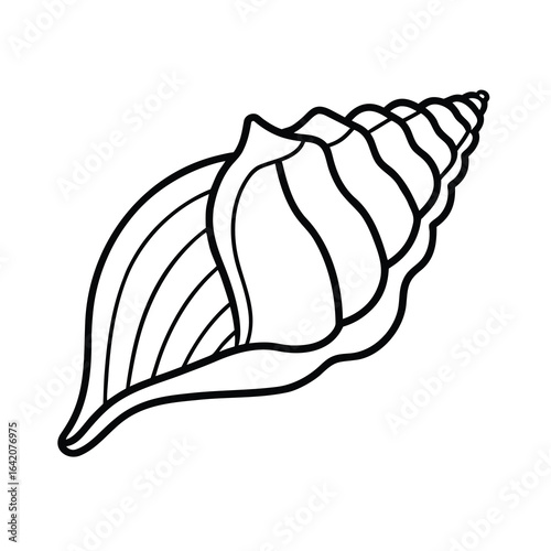 conch shell outline vector graphic on white background 