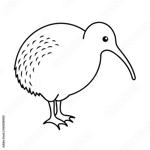 minimalist kiwi sketch design on white background