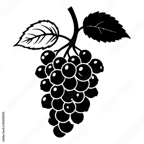 A striking monochrome illustration of a grapevine with lush leaves and grapes