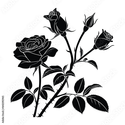 Black silhouette of a blooming rose with buds and leaves flower black and white