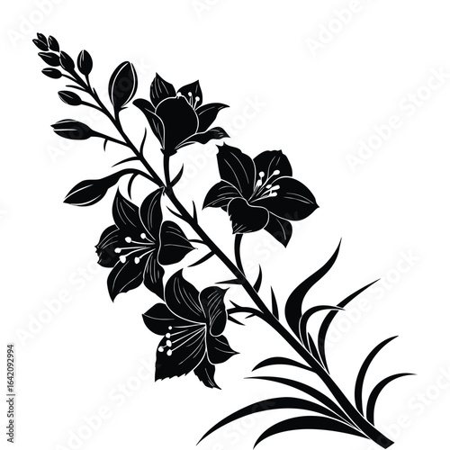 Black silhouette of a delphinium flower branch with buds and leaves black and white