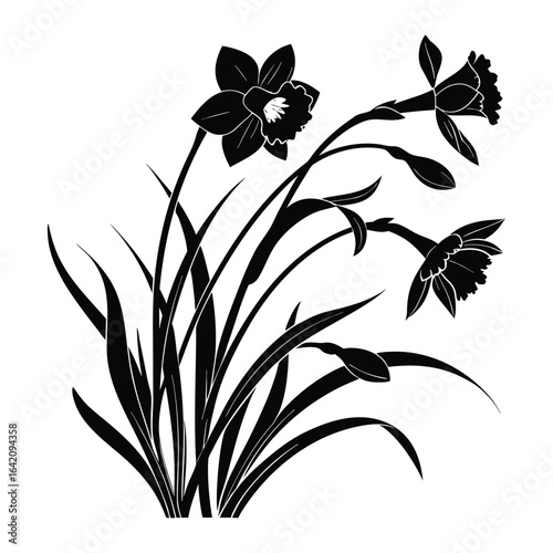 Black silhouette of three daffodils with leaves and buds narcissus flower