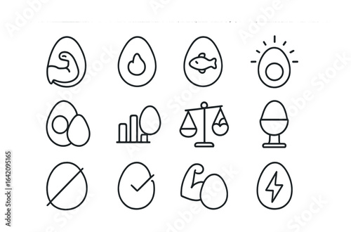 Egg Nutrition Icons. Outline icon set of egg nutrition facts: protein symbol, calorie label, omega-3 icon,