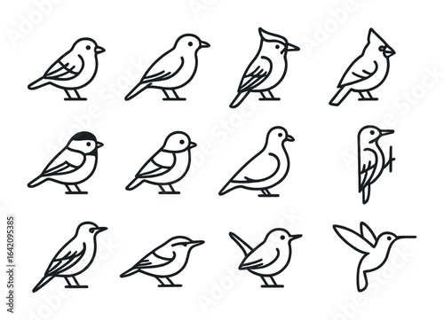 Backyard Bird Icons. Outline icon set of common backyard birds: sparrow, robin, blue jay, cardinal, finch,