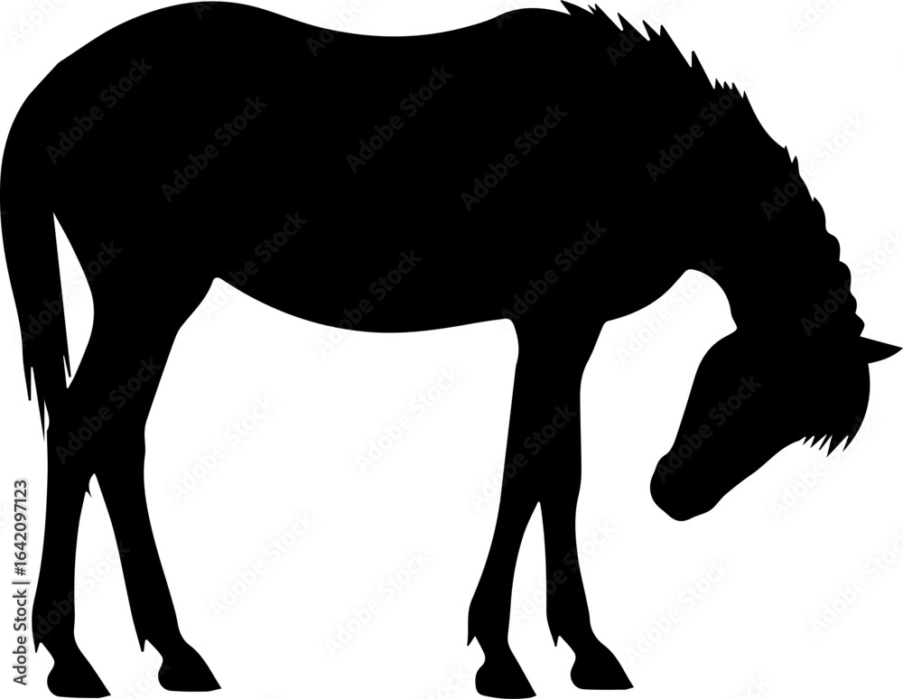 Obraz premium Horse head lowered grazing silhouette vector, black horse relaxed posture isolated on white background