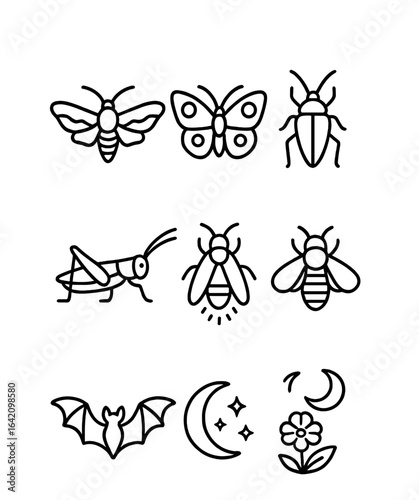Nocturnal Pollinators Icons. Outline icon set of nocturnal pollinators: hawk moth, owl butterfly, night beetle