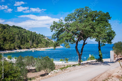 Wallpaper Mural Scenic Adriatic coastal landscapes with clear blue sea, rocky beaches, pine trees, and tranquil bays Torontodigital.ca