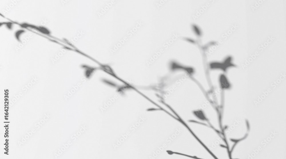 Obraz premium Abstract shadow branch on wind background