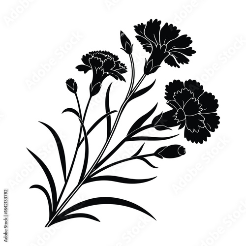 Black silhouette of carnation flowers and buds on white background black and white