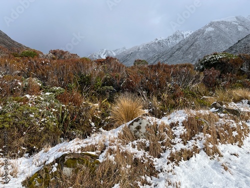 Arthurs Pass New Zealand