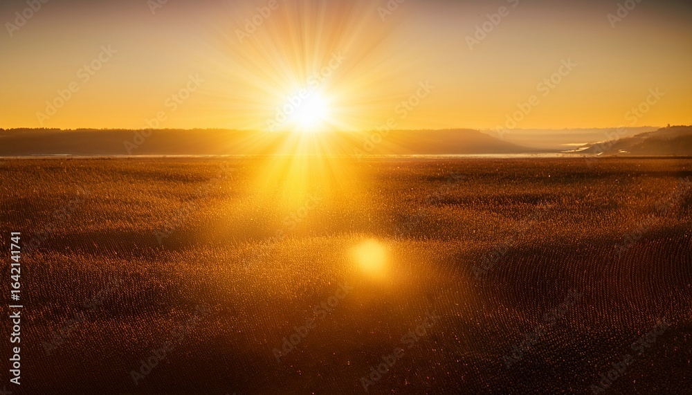 Fototapeta premium light with glare sun sun rays dawn glare from the sun gold flare glare from flare