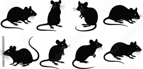 PrintMouse silhouette vector, rat clipart illustrations, rodent graphic icons, cartoon mice shapes, black mouse drawings, animal outline set