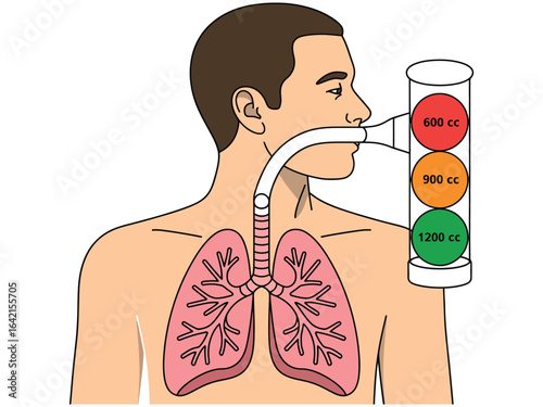 Educational Vector Illustration of Human Respiratory System with Incentive Spirometer

