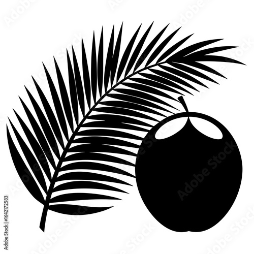 Black Silhouette of a Coconut and Palm Frond on a White Background tropical fruit