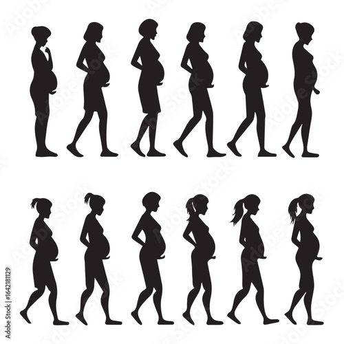 Silhouette of a pregnant woman in different stages of pregnancy isolated on white background vector illustration of a pregnant woman in different trimesters of pregnancy