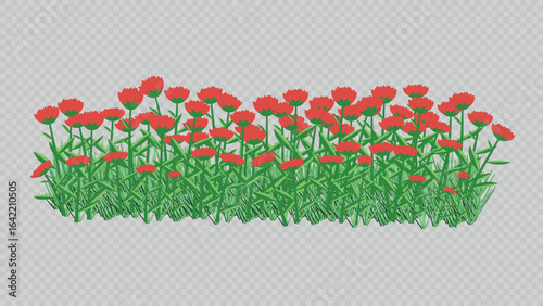 Bright border of red flowers and green grass on a transparent background. Perfect for garden and spring designs, greeting cards, banners, and decorative elements.
