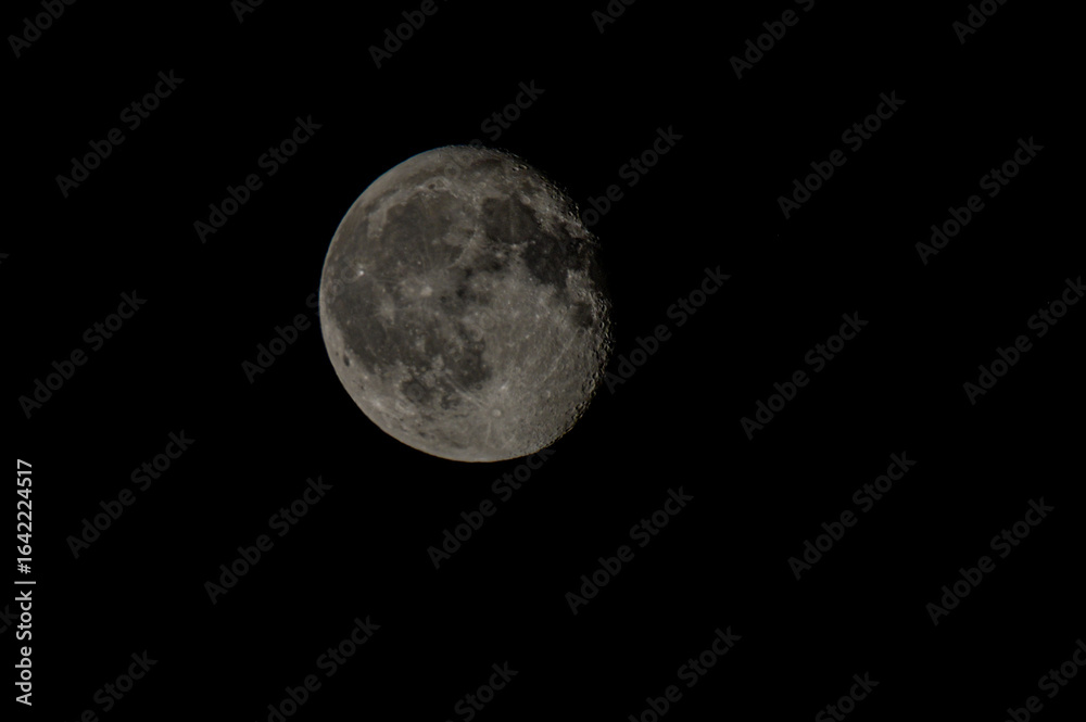 Fototapeta premium luna