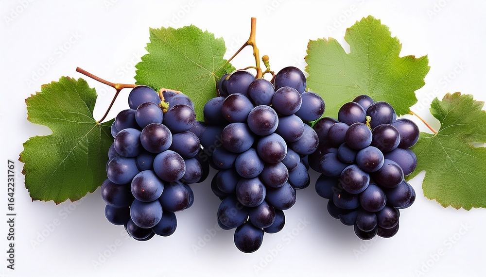 Fototapeta premium five bunches of dark grapes with leaves