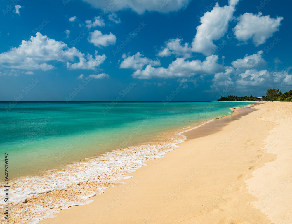 Obraz premium Beautiful golden sandy beach and azure ocean in Barbados