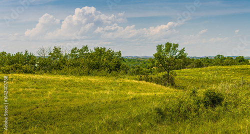 Tableau sur toile Simple summer greens landscape with a thunderhead clouds forming on the horizon