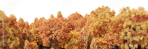 3d rendering of a panoramic autumn deciduous forest with yellow, orange, and red foliage on a transparent background. Realistic wide nature panorama illustration, cutout fall park trees.