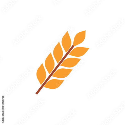 Golden wheat grain branch. Vector