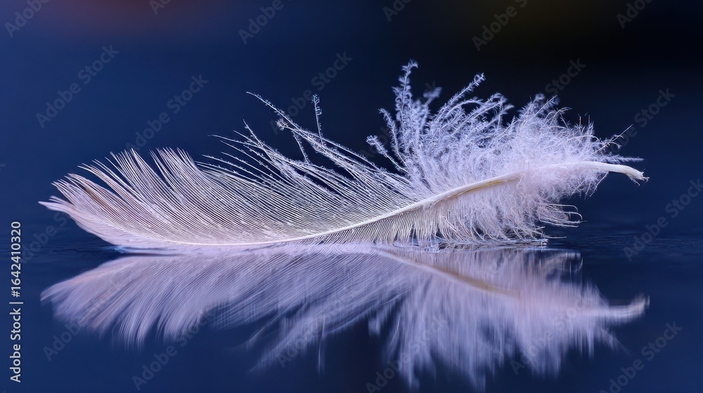 Obraz premium Delicate feather resting on a surface, reflecting beautifully.