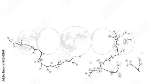 vector illustration of an abstract floral background